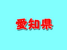 愛知県の城